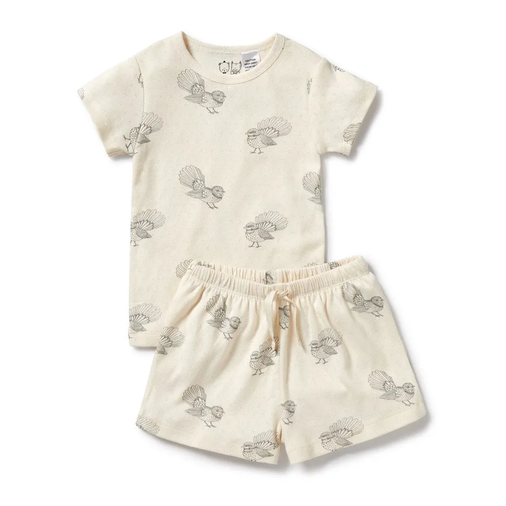 Little Fantail Organic Pointelle Short Sleeved Pyjamas