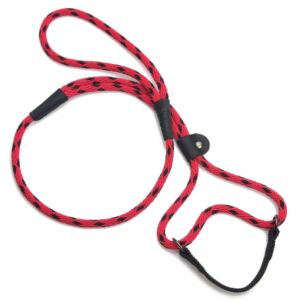 Mendota Dog Walker Martingale Lead 4'